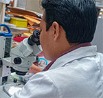 👨‍🏫 Javier Ortega